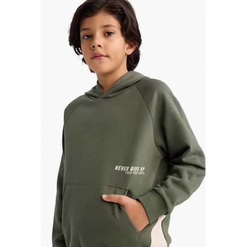 product_image_name-Defacto-سويت شيرت اولادي مطبوع قصة عادية بجيب ببطانة ناعمة-1