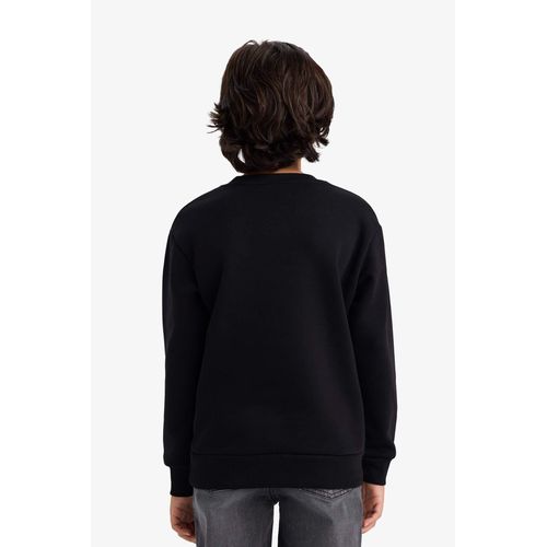 product_image_name-Defacto-Boy Crew Neck Printed Soft Fleece Lining Sweatshirt-5