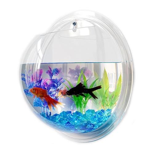 Generic Transparent Creative Wall Mounted Acrylic Fish Bowl Hanging Aquarium Fish Tank Home Decor 25cm Diameter Best Price Online Jumia Egypt