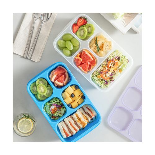 Source Portable Stainless Steel Double 5 Compartment Customised Air Tight  Food Office Cordless Lunch Box on m.alibaba.com