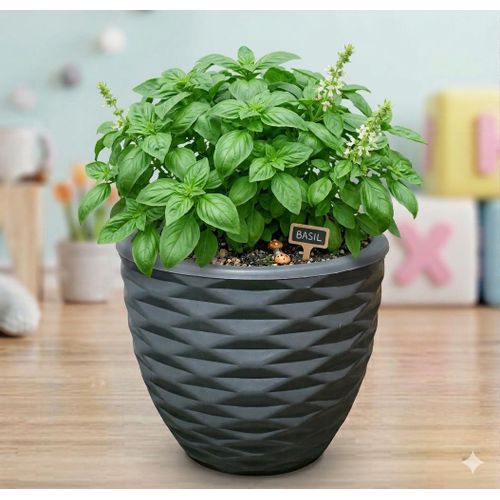 product_image_name-Generic-جدد ديكور بيتك مع قصرية الزرع المودرن - متوفرة الآن-5