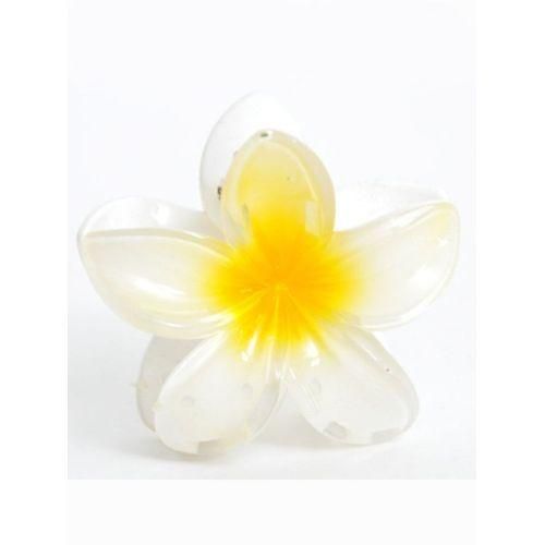 product_image_name-Generic-توكة شعر كلبس وردة ياسمين هندي-4