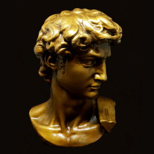 product_image_name-Generic-تمثال دافيد برونز-3