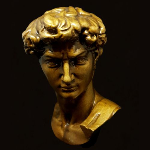 product_image_name-Generic-تمثال دافيد برونز-5