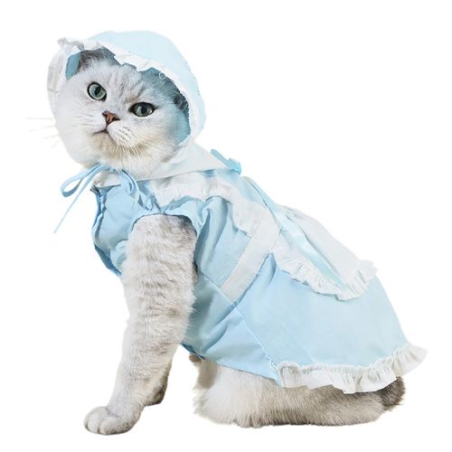 Generic 1 Set Cat Maid Outfit Cute Pet Dog Cat Maid Dress with Hat Blue @  Best Price Online | Jumia Egypt