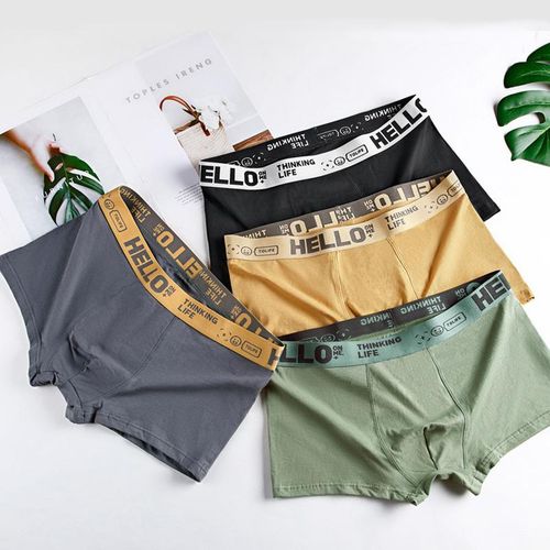 Men's Silk Underwear & Trunks Online