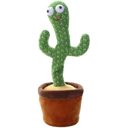 dancing cactus jumia