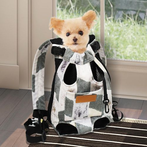 Chest 2024 cat carrier