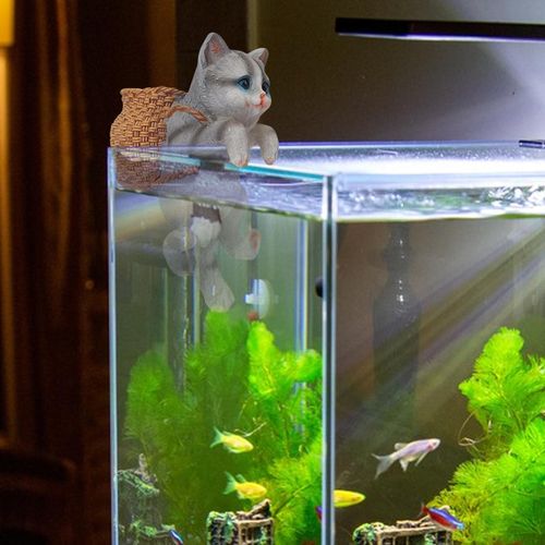 Fish tank clearance online store