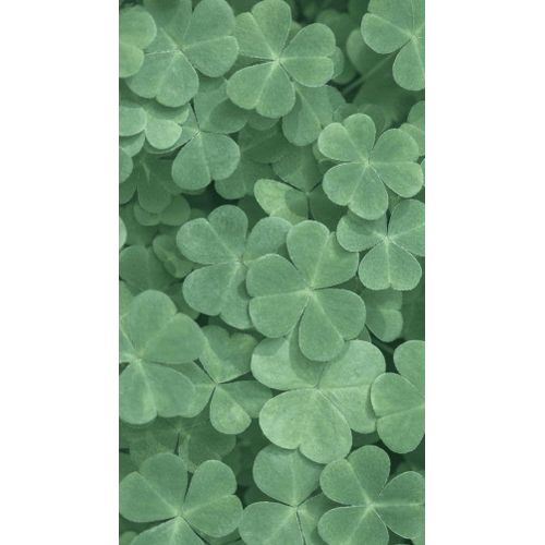 product_image_name-Generic-سماعات P9 بلس-2