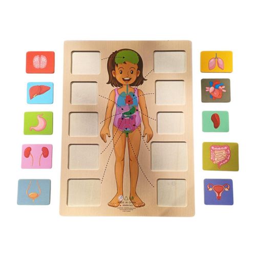 product_image_name-Generic-Body Parts Puzzle Matching Game Educational Human Body Structure Anatomy Puzzle Board-2