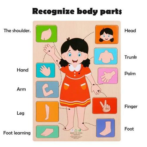 product_image_name-Generic-Body Parts Puzzle Matching Game Educational Human Body Structure Anatomy Puzzle Board-3