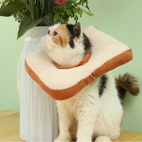 Collar to prevent licking top