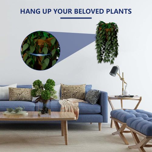 Generic 3 Pcs Flower Pot Holder Ring Wall Mounted 4 inch Plant Wall Hanger  Rings Metal Plant Hooks Holders Wall Planter Hook @ Best Price Online