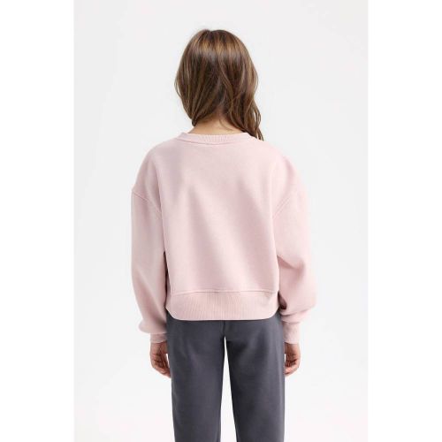 product_image_name-Defacto-Girl Crew Neck Relax Fit Sweat Shirt - Lilac-4
