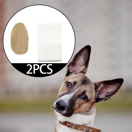 Dog 2025 ear supports