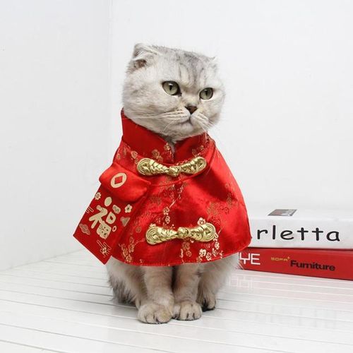 Pet Cat Dog Costume Chinese Style Cat Suit Spring Festival Cape Neck Red Envelope New Year Collar Costume