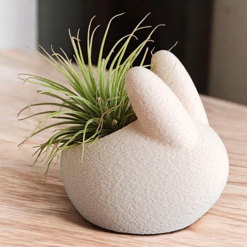 product_image_name-Generic-حامل زرع أرنب Bunny ثلاثي الأبعاد – قطعة ديكور لطيفة تضيف الحياة والجمال لمنزلك-1