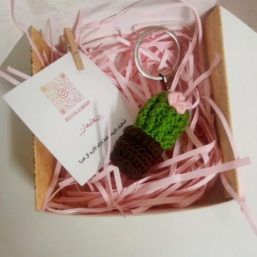 product_image_name-suzan al masry-سلاسل مفاتيح على شكل صبار كروشيه -2