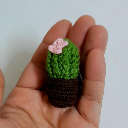 product_image_name-suzan al masry-سلاسل مفاتيح على شكل صبار كروشيه -3