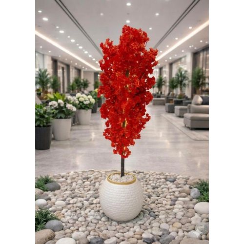 product_image_name-Made By Me-Benjamina tree-1