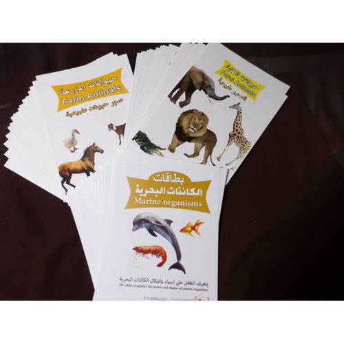 Buy Animals Flash Cards - 54 Pcs in Egypt