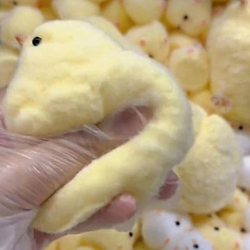 product_image_name-Genal-Squishy Chick, Cute Chick Squishy Toy, Chick Squeeze Toy, Chicken Fidget Toys, Squishy Chick Anti-Stress Toy, Chick Squeeze Toy for Adults and Children-3