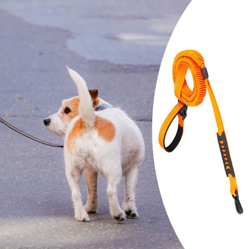 Retractable 2025 waist leash