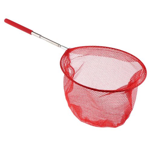 Generic Extendable Kids Catcher Net Butterfly Net Insect Telescopic Red @  Best Price Online