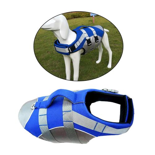 Dog water safety vest store