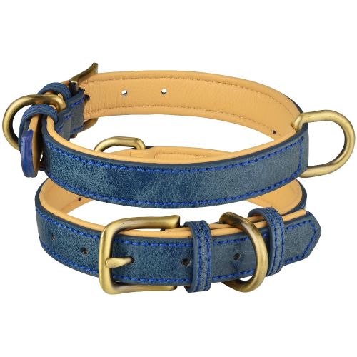 Leather dog collars online 2025