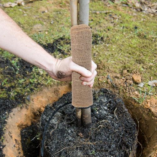product_image_name-Generic-Tree Trunk Wrap Made of Jute Frost Protection Plant Protection Winter Protection Heat Protection Breathable Durable for Garden Fruit Trees Pot Plants Wintering-2
