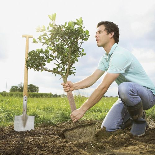 product_image_name-Generic-Tree Trunk Wrap Made of Jute Frost Protection Plant Protection Winter Protection Heat Protection Breathable Durable for Garden Fruit Trees Pot Plants Wintering-8