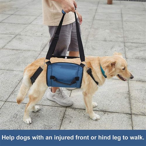 Dog rehab harness hot sale