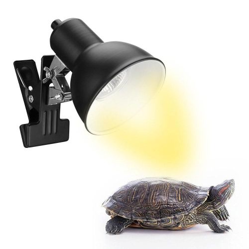 Heat bulb for tortoise cheap
