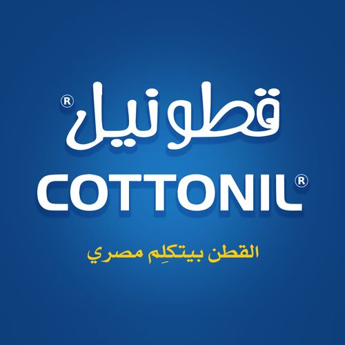 product_image_name-Cottonil-باقة من 3 شورتات قطنية يومية للرجال من كوتونيل-8