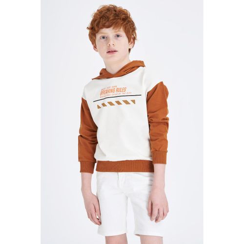 product_image_name-Defacto-Boy Hooded Regular Fit Sweat Shirt - Camel-1