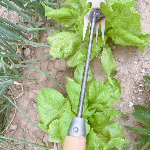 تسوق Multifunctional Weeder Gardening Tool Hand Weeder اونلاين