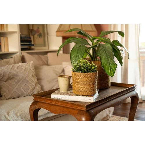 product_image_name-Generic-وعاء زهور من الأعشاب البحرية من ديكوراسيان - وعاء زهور مضفر - سلة نباتات مع حشوة من رقائق معدنية بنمط بوهيمي - طبيعي - طقم 25 سم + 20 سم + 16 سم-5