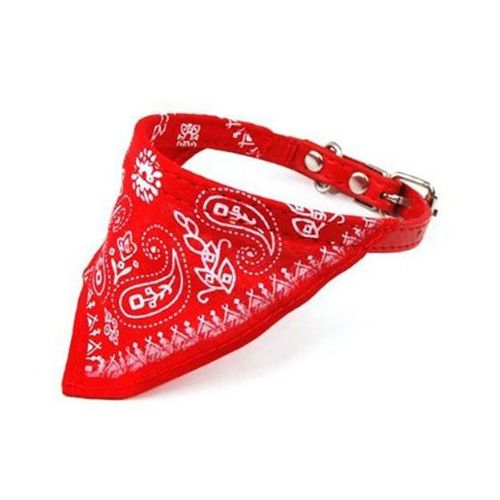 Cat hotsell bandana size