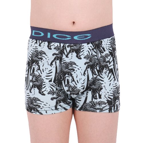 Dice - Set Of (3) Printed Boxers - For Boys And Men @ Best Price