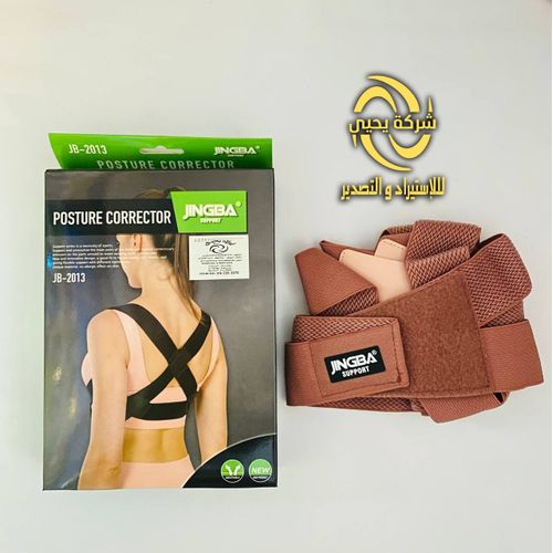Magnetic posture top