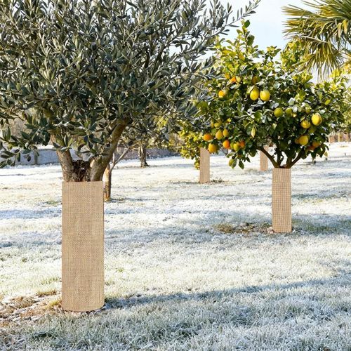 product_image_name-Generic-أغطية نباتية عامة للحماية من الصقيع، مصنوعة من قماش الجوت المقاوم للصقيع، أغطية نباتية شتوية قابلة للتهوية، مناسبة لأشجار الفاكهة، وشجيرات التوت، والطماطم، والورود، والشجيرات، للاستخدام الخارجي، في الطقس البارد-3