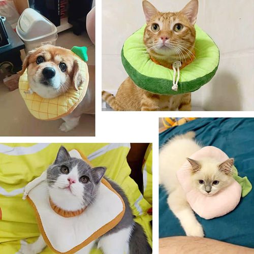 Cat top recovery collar