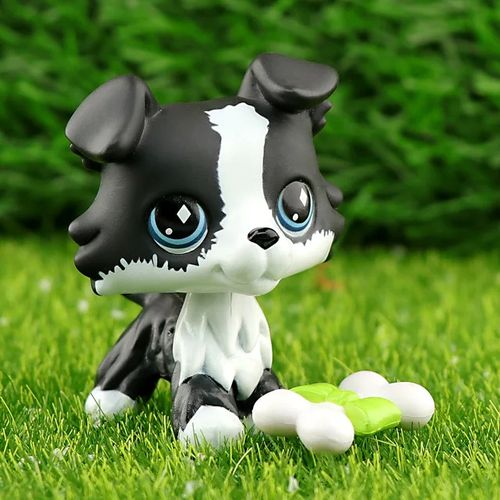 Butter collie dog online