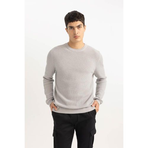 product_image_name-Defacto-Man Crew Neck Standart Fit Pullover - Lt.Grey-2