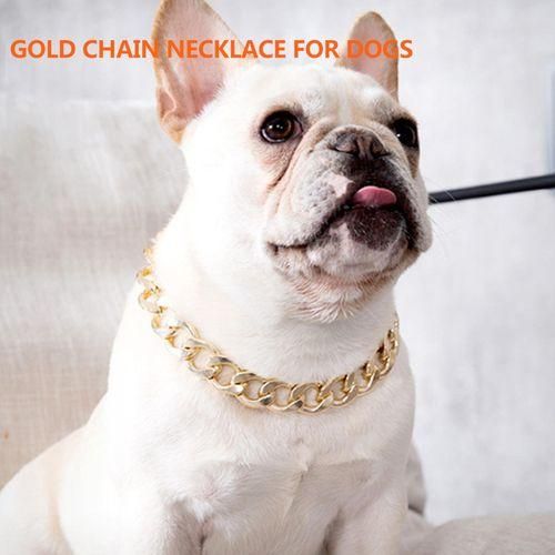 Small dog gold chain discount