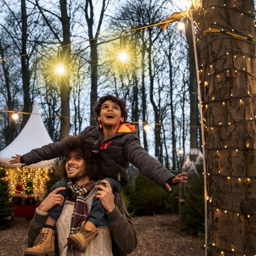 product_image_name-Generic-عبوة من مصباحين للتخييم: مصباح خيمة، فانوس تخييم، مجموعة مصابيح LED للتخييم، مصباح كشاف قابل لاعادة الشحن مع خطاف، مصابيح تخييم، مصباح خيمة محمول للتخييم-4