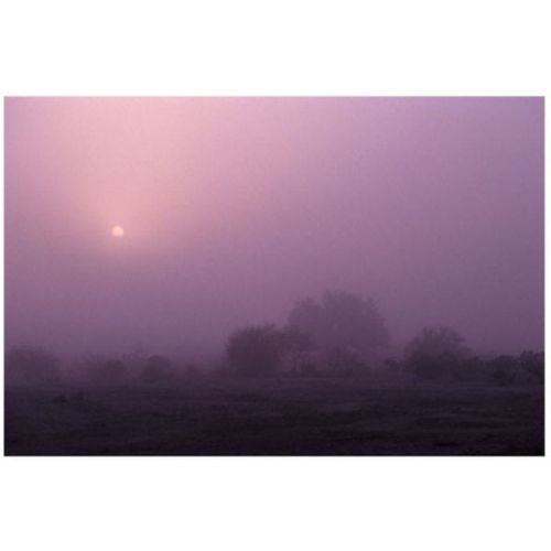 product_image_name-Generic-Landscape Tableau 23cm x 18cm-1