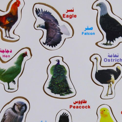 Generic Birds Matching Board - image 2